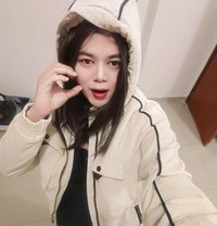 Lucky Big Cock - Transsexual escort in Doha