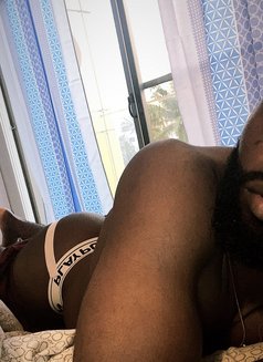 Gay Escort 237 - Male escort in Douala Photo 5 of 7