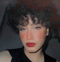 Gazalle - Transsexual escort in Cairo