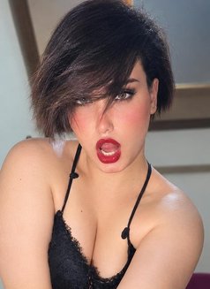 Gazalle - Transsexual dominatrix in Cairo Photo 17 of 17