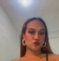 Gazini - Acompañantes transexual in Manila