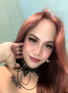 Gazini - Transsexual escort in Manila Photo 10 of 11