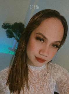 Gazini - Transsexual escort in Manila Photo 11 of 11