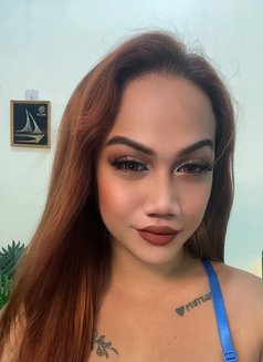 Gazini - Acompañantes transexual in Manila Photo 12 of 15