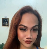 Gazini - Transsexual escort in Manila