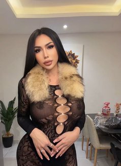 Gbells 🇹🇭(Vvip) - Transsexual escort in Riyadh Photo 12 of 13