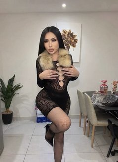 Gbells 🇹🇭(Vvip) - Transsexual escort in Riyadh Photo 11 of 12