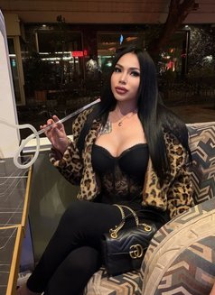 Gbells ๐น๐ญ(Vvip) - Transsexual escort in Riyadh Photo 7 of 16