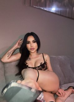 Gbells ๐น๐ญ(Vvip) - Transsexual escort in Riyadh Photo 9 of 16