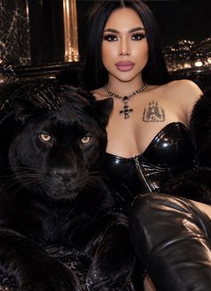Gbells 🇹🇭(Vvip) - Transsexual escort in Riyadh Photo 15 of 15