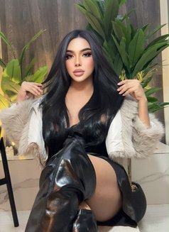 Gegee - Acompañantes transexual in Khobar Photo 23 of 25