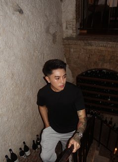 Gelo - Male escort in Bangkok Photo 11 of 20