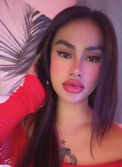 Gelo69 - Transsexual escort in Dubai Photo 26 of 26