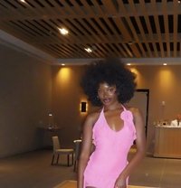 Gemma - escort in Abidjan