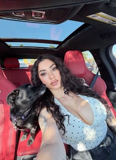 Genesis Clara - escort in Cairo Photo 3 of 3