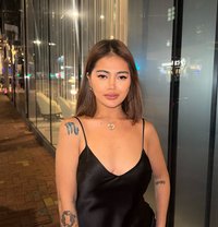 Just Landed! Catt is ready. - escort in Hong Kong