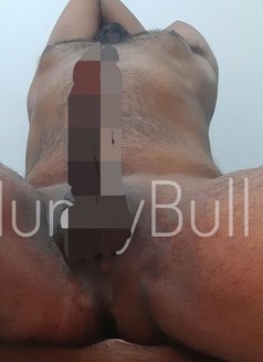 Genuine BULL for Ladies | Girls - Male escort in Colombo Photo 8 of 13