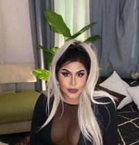 Georgia From the Philippines - Transsexual escort in Muscat