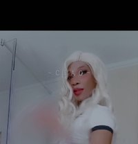 Georgina - Transsexual escort in Mombasa