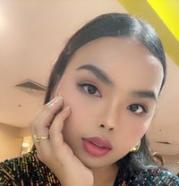 Georgina Ts - Acompañantes transexual in Bangkok