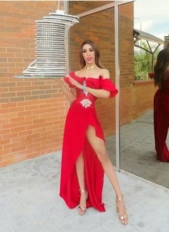 Georgina ts from Venezuela cash - Transsexual escort in Doha Photo 17 of 19