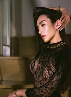 GFE-Girlfriend Expert (Most Recommended) - Acompañantes transexual in Bangkok Photo 30 of 30