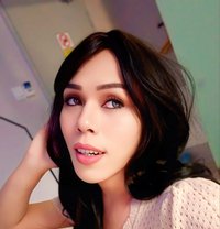 Gfe Good Looking Attitude Svc - Acompañantes transexual in Kuala Lumpur