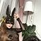 GFE/MISTRESS ZAYLEE - puta in Dubai Photo 2 of 27