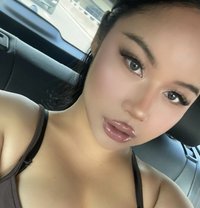 gg feminine. Famous. bkk🇹🇭 - Transsexual escort in Bangkok