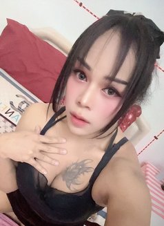 FirstTop~(Now Ladyboy) - puta in Muscat Photo 5 of 15