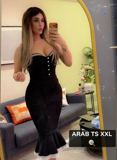 GHARAM ARAB SEX DOLL 20 CM (عمتك غرام ) - Acompañantes transexual in İstanbul Photo 28 of 30