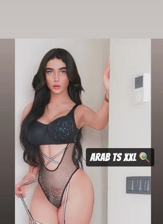 GHARAM ARAB SEX DOLL 20 CM (عمتك غرام ) - Transsexual escort in İstanbul Photo 29 of 30