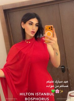 GHARAM ARAB SEX DOLL 20 CM (عمتك غرام ) - Acompañantes transexual in İstanbul Photo 30 of 30