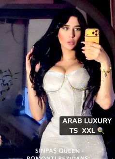GHARAM ARAB SEX DOLL 20 CM (عمتك غرام ) - Acompañantes transexual in İstanbul Photo 29 of 30