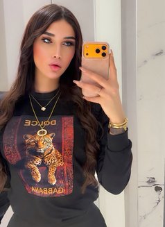 GHARAM ARAB SEX DOLL 20 CM (عمتك غرام ) - Transsexual escort in İstanbul Photo 29 of 29