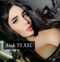GHARAM ARAB SEX DOLL 20 CM (عمتك غرام ) - Transsexual escort in İstanbul Photo 30 of 30