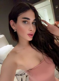 GHARAM ARAB SEXDOLL 20 CM غرام - Acompañantes transexual in İstanbul Photo 27 of 27