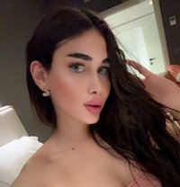 GHARAM ARAB SEXDOLL 20 CM غرام عربيه - Transsexual escort in İstanbul Photo 14 of 30