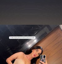GHARAM ARAB SEXDOLL 20 CM غرام - Transsexual escort in İstanbul