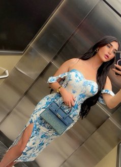 GHARAM ARAB SEXDOLL 20 CM غرام - Acompañantes transexual in İstanbul Photo 30 of 30