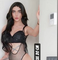 GHARAM ARAB SEXDOLL 20 CM عمتك غرام - Acompañantes transexual in İstanbul Photo 28 of 30