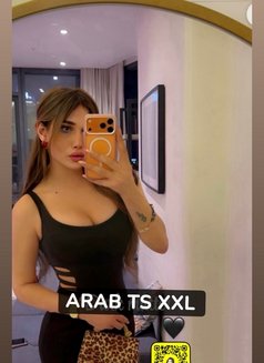 عمتك GHARAM ARAB SEXDOLL XXL 20 CM غرام - Transsexual escort in İstanbul Photo 29 of 30