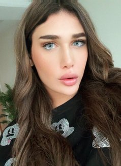 GHARAM ARAB SEXDOLL XXL 20 CM غرام - Transsexual escort in İstanbul Photo 29 of 29