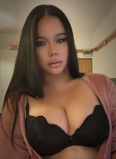 Gi.cute yung famous.Ladyboy bkk🇹🇭 - Transsexual escort agency in Bangkok Photo 11 of 20