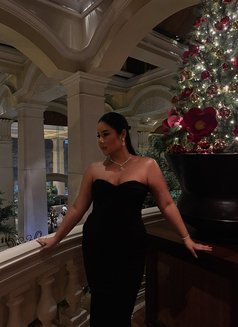 Gi.cute yung famous.Ladyboy bkk🇹🇭 - Transsexual escort in Bangkok Photo 15 of 22