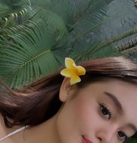 Giesha - escort in Bali