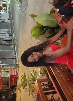 Gift - escort in Ko Samui Photo 8 of 8