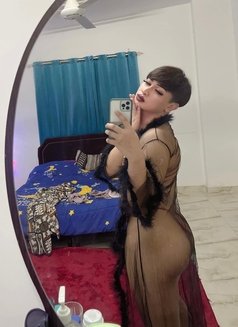 Gift - Transsexual escort in Doha Photo 1 of 6