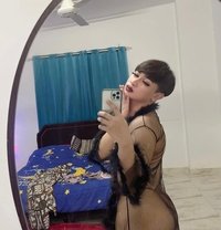 Gift - Transsexual escort in Doha