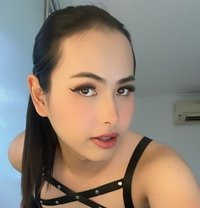 Gifzy - Transsexual escort in Doha